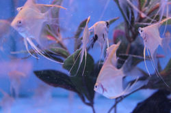 IMG_4263.JPG